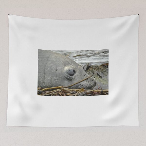 Item preview, Lazy days Falklands designed and sold by skanner30.