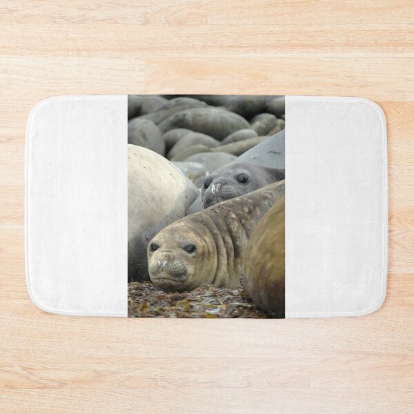 Item preview, Sea Lions Falklands designed and sold by skanner30.