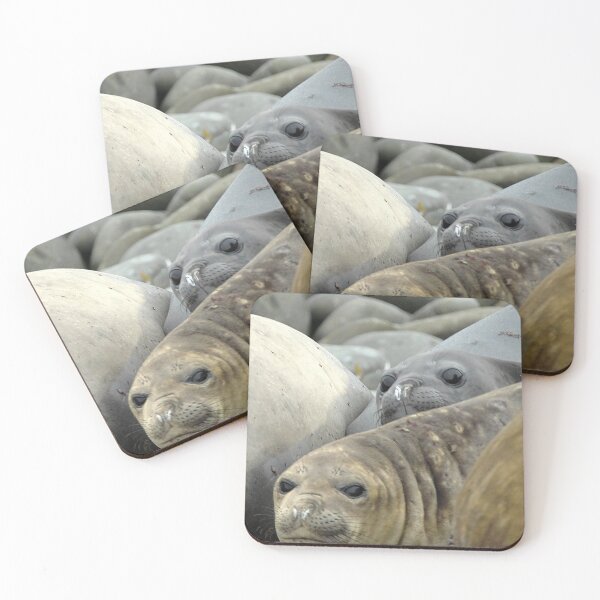 Item preview, Sea Lions Falklands designed and sold by skanner30.