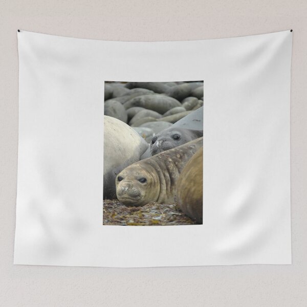 Item preview, Sea Lions Falklands designed and sold by skanner30.