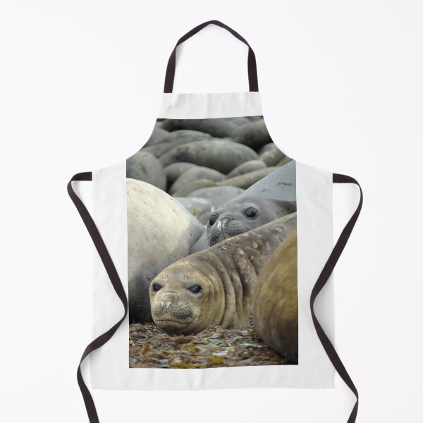 Item preview, Sea Lions Falklands designed and sold by skanner30.