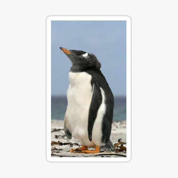 Item preview, gentoo penguin designed and sold by skanner30.