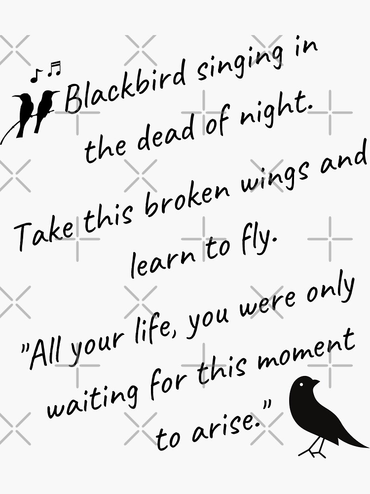 Blackbird Singing In The Dead Of Night Hippie T-Shirt Gift Blackbird Singing In The Dead Of Night Hippie T-Shirt Gift