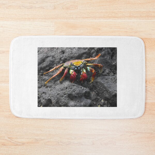 Aperçu de l'œuvre Crab on Ascension Island créée et vendue par skanner30.