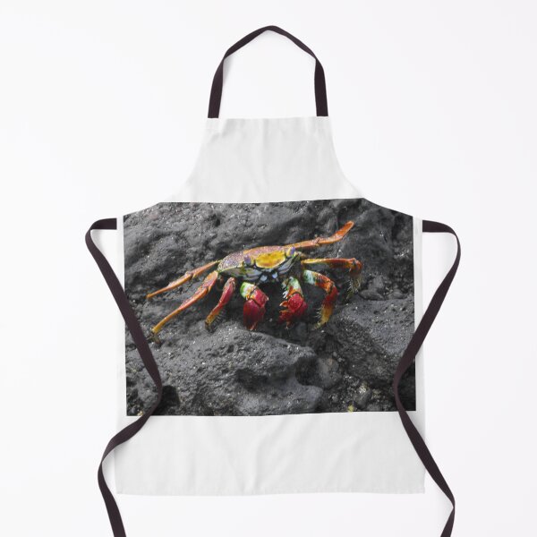 Aperçu de l'œuvre Crab on Ascension Island créée et vendue par skanner30.