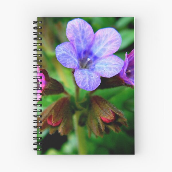 Item preview, Welcome of Spring designed and sold by Eugenio.