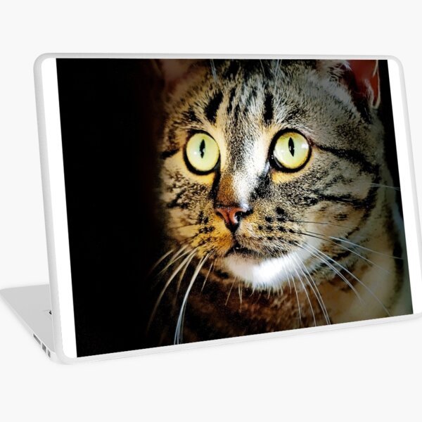 Manx Cat Laptop Skin