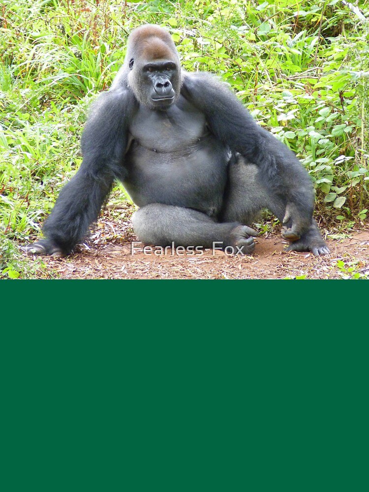 Bindass - Posing for pictures! Seems like she is a #celebrity Gorilla! :P |  Facebook