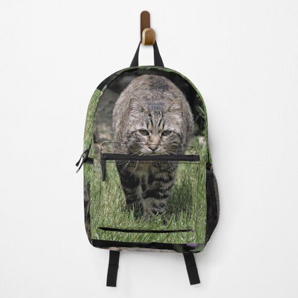 Item preview, r 2570/  10  Chat-Cat  Fennec " Le  Patrouilleur "  finition 2020 par Okaio Créations - Olavia&Olao  designed and sold by o.okaïo.