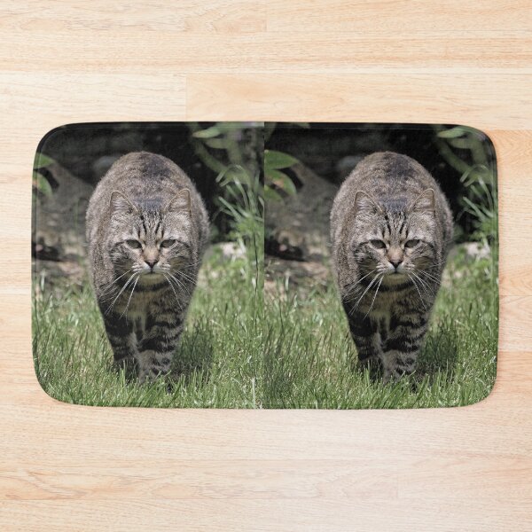 Item preview, r 2570/  10  Chat-Cat  Fennec " Le  Patrouilleur "  finition 2020 par Okaio Créations - Olavia&Olao  designed and sold by o.okaïo.