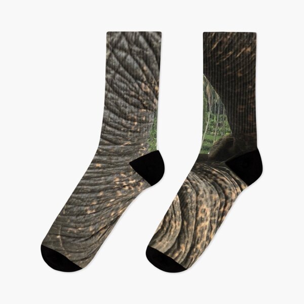 Item preview, Elephant Trunk With Forest View designed and sold by YOYOCollection.