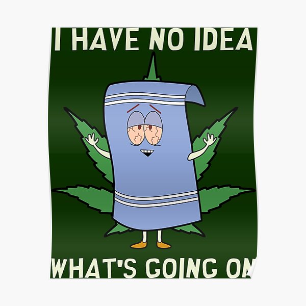 Towelie I Have No Idea What's Going On