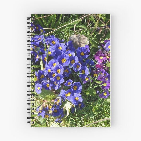 Item preview, Blue and Purple Primroses designed and sold by MidnightMelody.