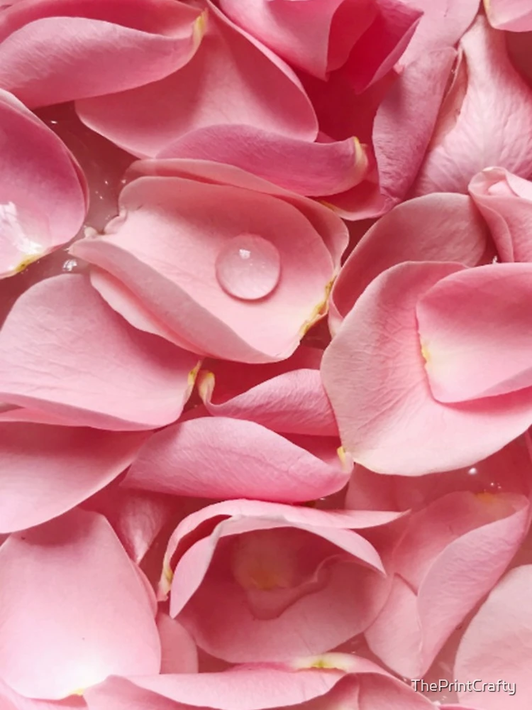 Thumbnail 5 of 5, iPhone Case, Pink Roses designed and sold by ThePrintCrafty.