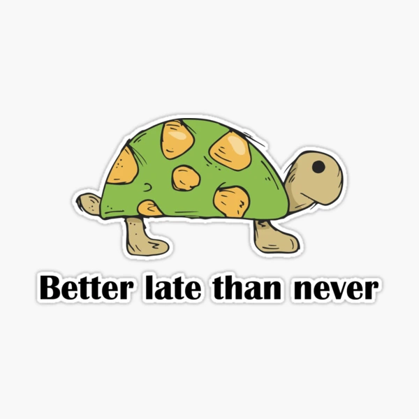 st,large,507x507-pad,600x600,