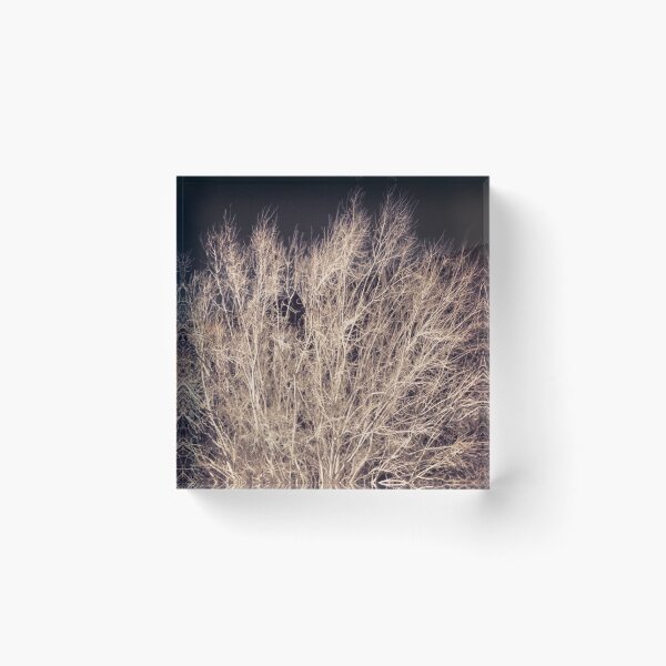 Item preview, Dataset Design - Into The Trees designed and sold by datasetdesign.
