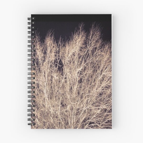 Item preview, Dataset Design - Into The Trees designed and sold by datasetdesign.
