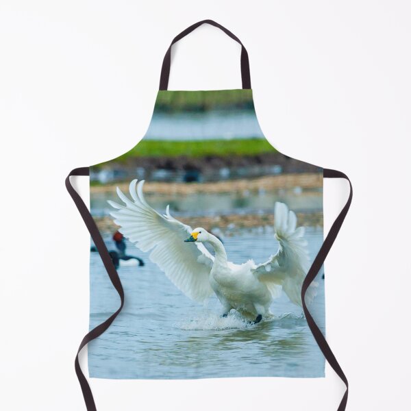 Item preview, Wild Bewicks swan about to land designed and sold by Dalyndigital Photography.
