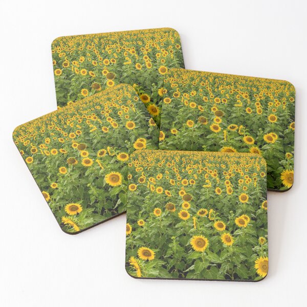 Item preview, Fields of Sunflowers designed and sold by John Van Den Broeke.