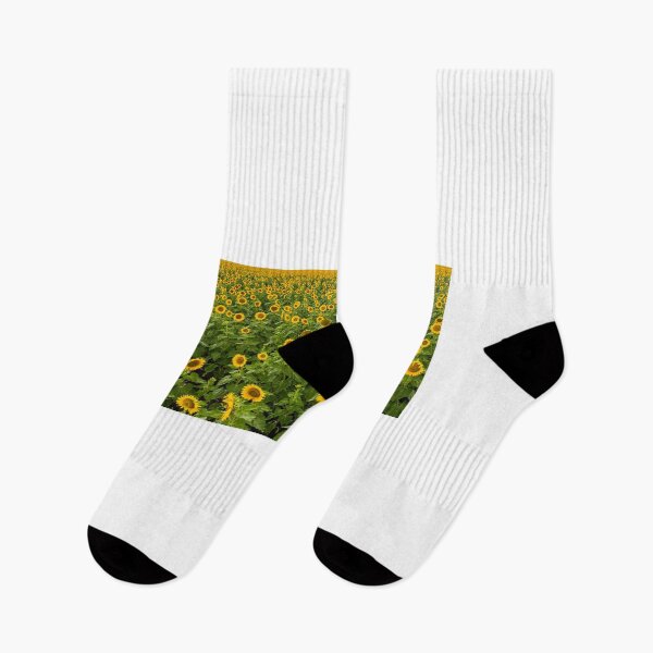 Item preview, Fields of Sunflowers designed and sold by John Van Den Broeke.