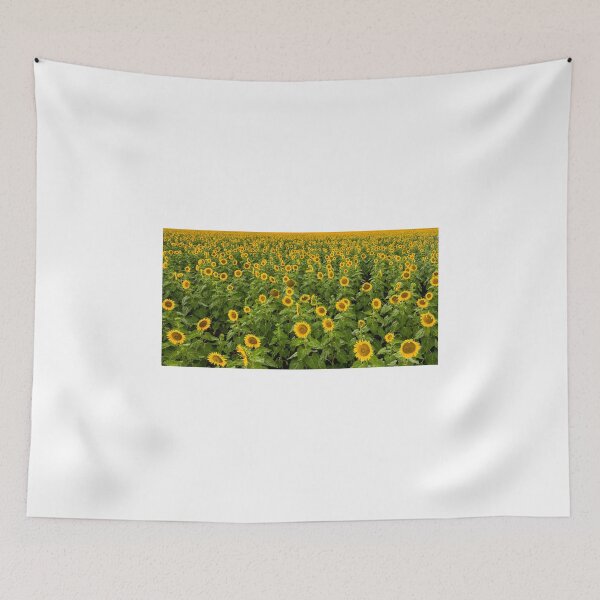 Item preview, Fields of Sunflowers designed and sold by John Van Den Broeke.