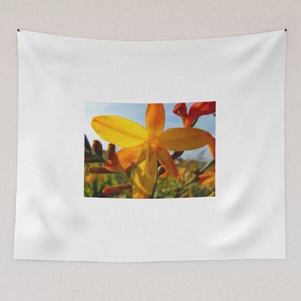 Item preview, Oranges designed and sold by skanner30.