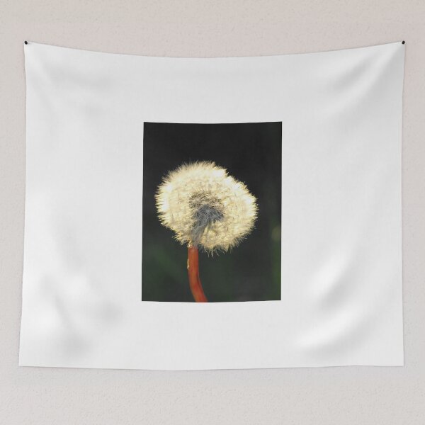 Aperçu de l'œuvre Dandelion créée et vendue par skanner30.