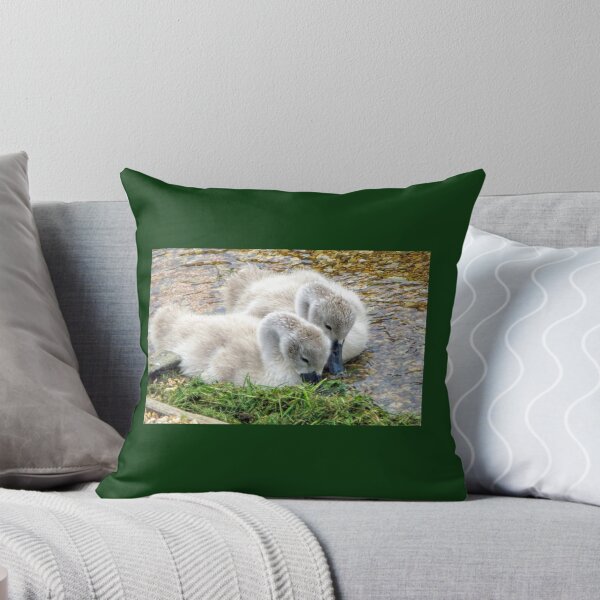 Item preview, Twin Cygnets at Abbotsbury, Dorset UK designed and sold by lynn carter.