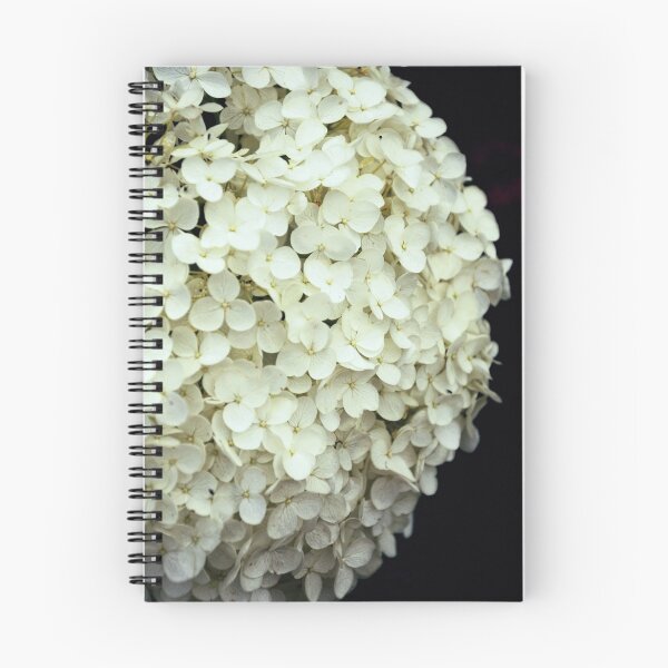 Item preview, White Hydrangea. designed and sold by Karen  Betts.
