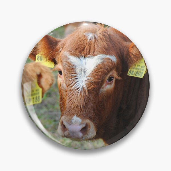 Item preview, Young beef designed and sold by Glineur.