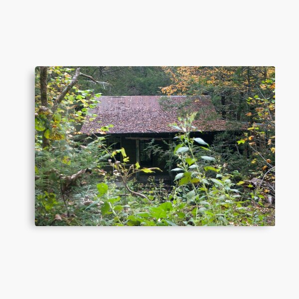 Aperçu de l'œuvre Tin Roof- Rusted créée et vendue par WisePhoto.