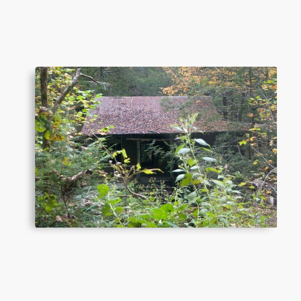 Aperçu de l'œuvre Tin Roof- Rusted créée et vendue par WisePhoto.