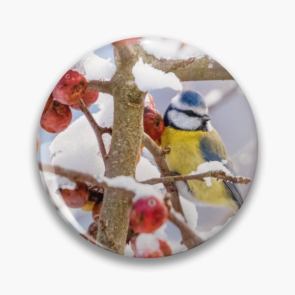 Item preview, Blue tit feeding on crabapple designed and sold by Marty-photo.
