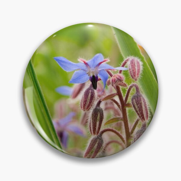 Item preview, fli borage designed and sold by pcfyi.