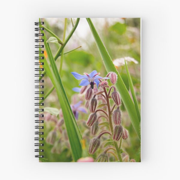 Item preview, fli borage designed and sold by pcfyi.