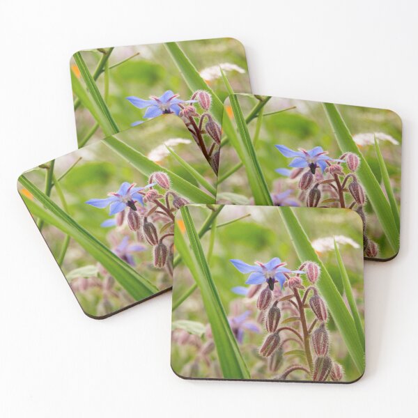 Item preview, fli borage designed and sold by pcfyi.