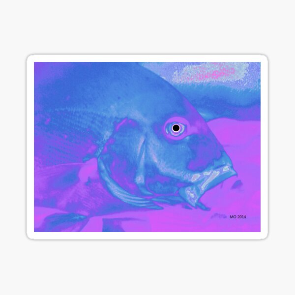 Aperçu de l'œuvre FISH WITH OPEN MOUTH créée et vendue par Maureen Zaharie.