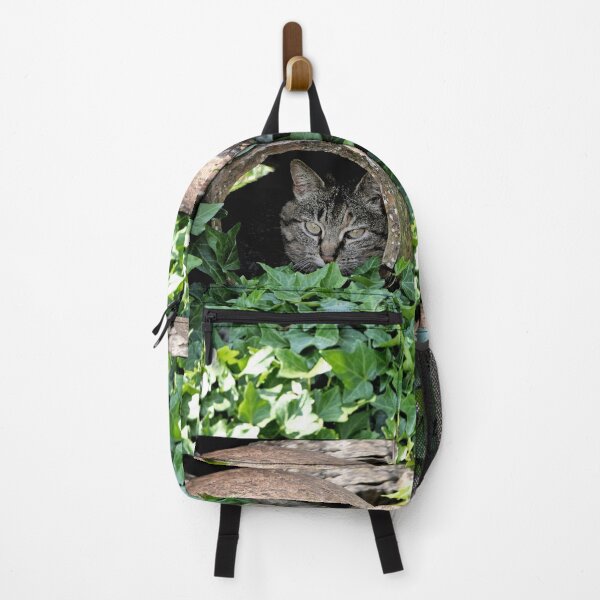 Item preview, r 2571/ 11 Chat-Cat " Pépette cachée dans son amphore préférée " finition 2020 par Okaio Créations - Olavia&Olao designed and sold by o.okaïo.