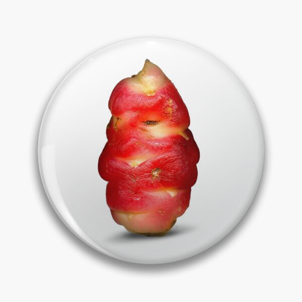Item preview, The Peruvian Red Oca is an edible tuber. designed and sold by Marc DEFORTESCU.