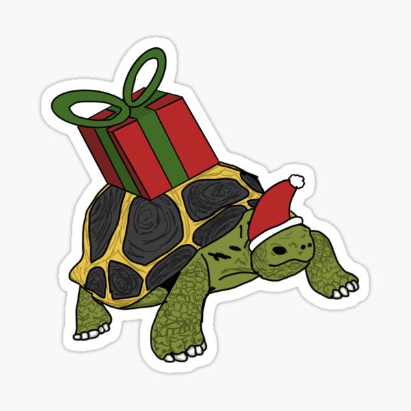 Christmas Turtle T-Shirt, Dear Santa Just Bring Turtles Santa Hat Star Gift for Turtle lovers, Turtle Owners