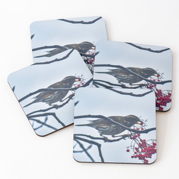 Item preview, Redwing perched and eating berries designed and sold by RobinDHunter.