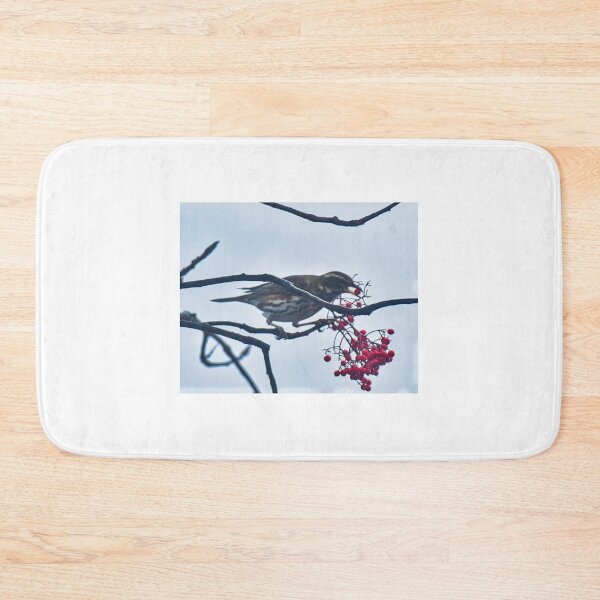 Item preview, Redwing perched and eating berries designed and sold by RobinDHunter.