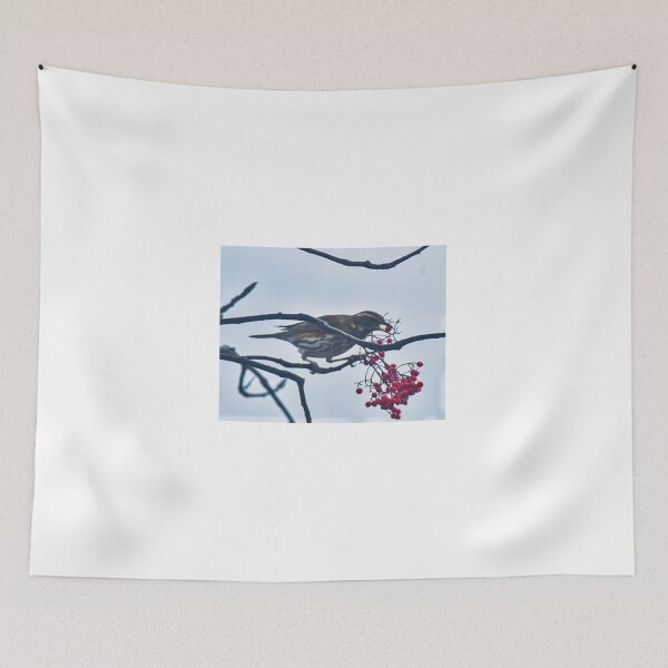 Item preview, Redwing perched and eating berries designed and sold by RobinDHunter.
