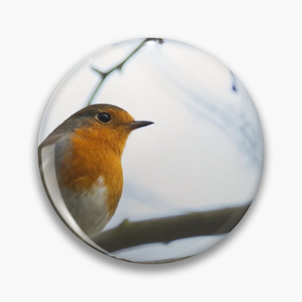 Item preview, Robin, perched and looking beautiful. designed and sold by RobinDHunter.