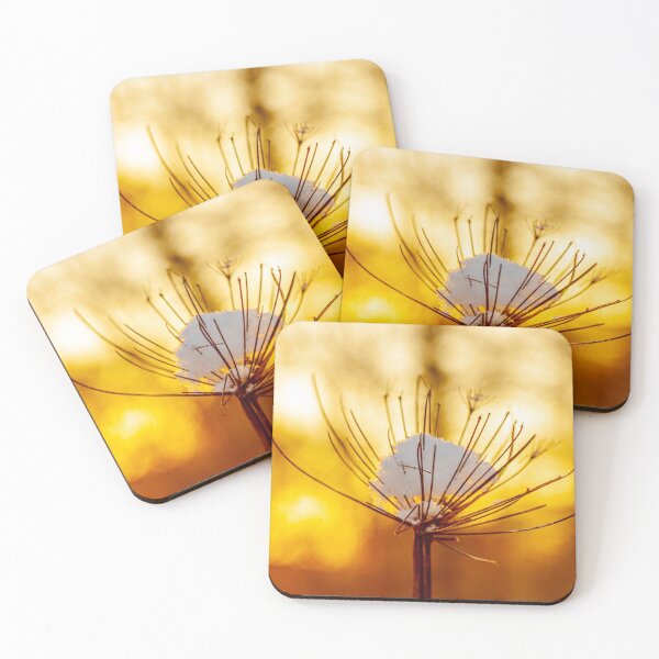 Item preview, Cow parsley in the snow at sunset designed and sold by Dalyndigital Photography.