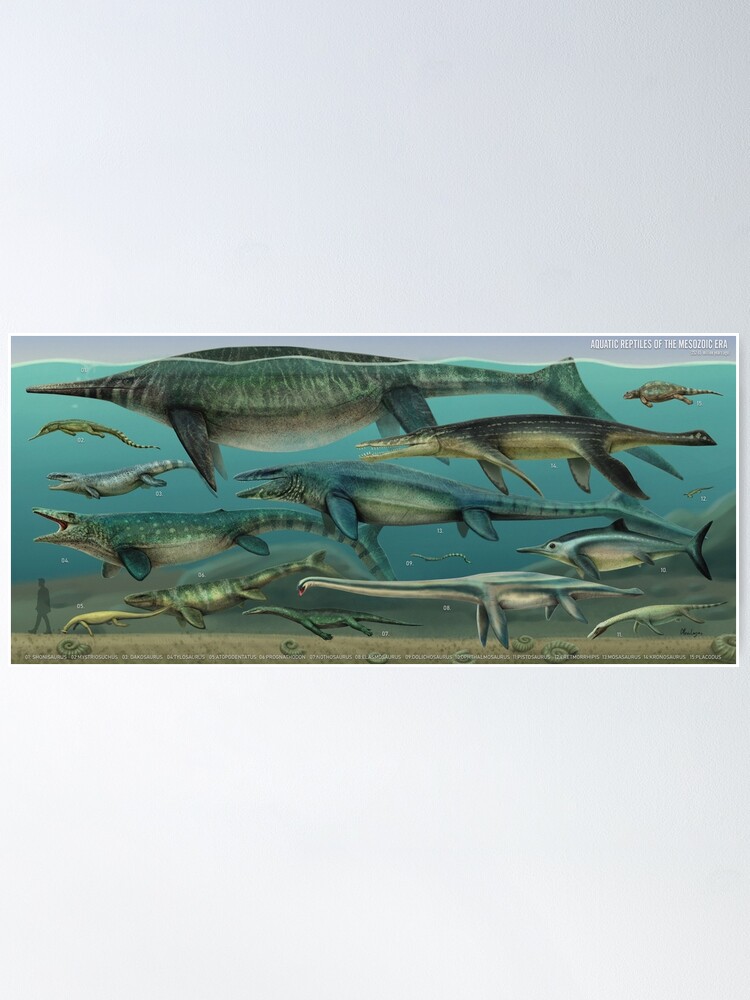 Póster «Monstruos marinos. Reptiles marinos del mesozoico» de