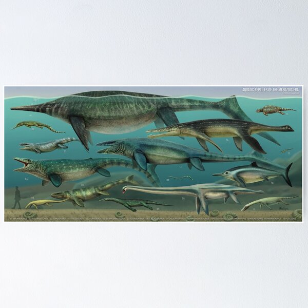 Item preview, Marine Reptiles of the Mesozoic. The true ¨Sea Monsters¨ designed and sold by Mario Lanzas.