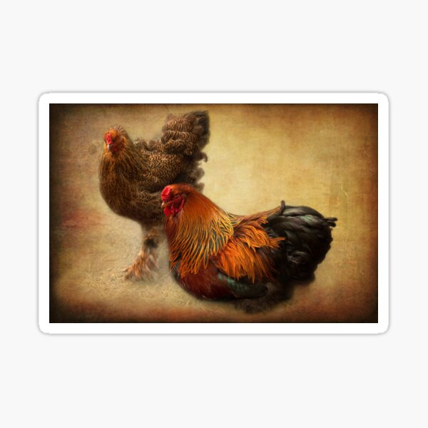 Rooster and hen Sticker