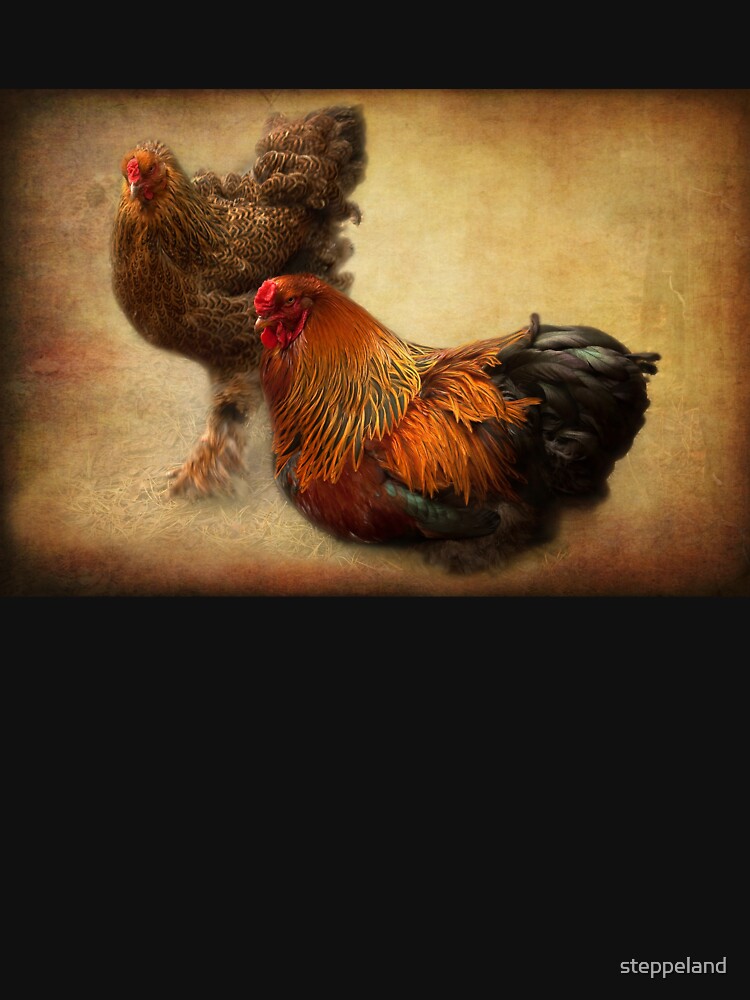 Rooster and hen by steppeland