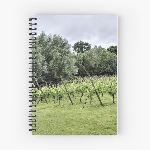 Item preview, Belgian vineyard in Heuvelland, West Flanders designed and sold by wineandwords.